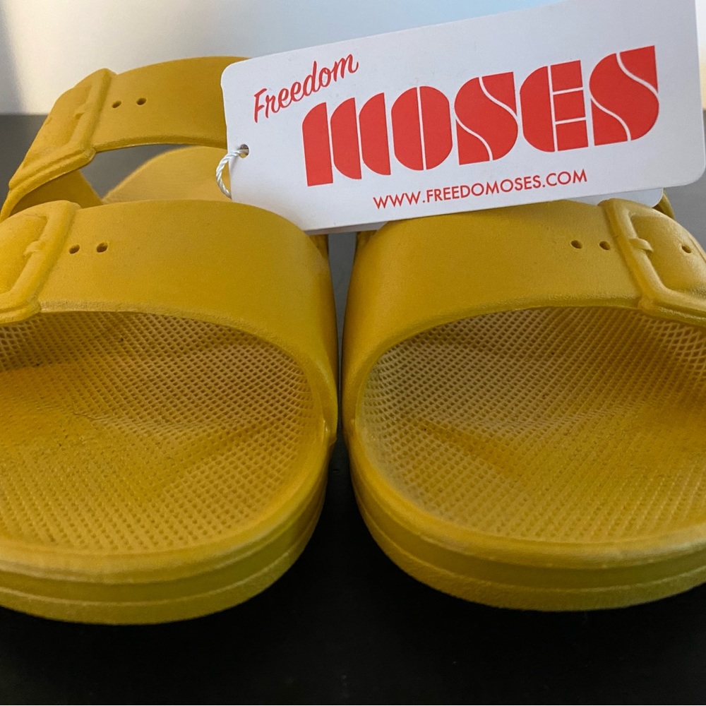 Freedom Moses slides